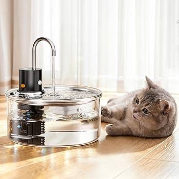 Water fountain for pets